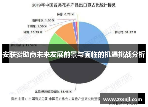 安联赞助商未来发展前景与面临的机遇挑战分析